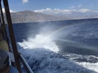 Kreta 2022 -Mare Sud Diving Center