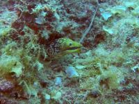 Kreta 2022 - Dive2gether