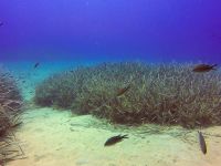 Kreta 2022 -Mare Sud Diving Center