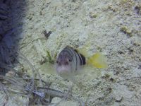 Kreta 2022 -Mare Sud Diving Center