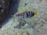Kreta 2022 -Mare Sud Diving Center