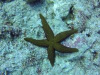 Kreta 2022 - Dive2gether
