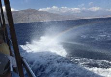 Kreta 2022 -Mare Sud Diving Center