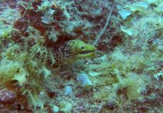 Kreta 2022 - Dive2gether