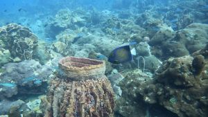 Reisebericht Koh Chang/ Thailand 2023