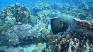 Reisebericht Koh Chang/ Thailand 2023