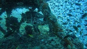 Reisebericht Koh Chang/ Thailand 2023
