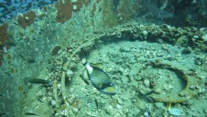 Reisebericht Koh Chang/ Thailand 2023