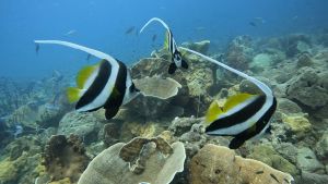 Reisebericht Koh Chang/ Thailand 2023