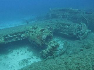 Reisebericht Korsika 2023 Calvi