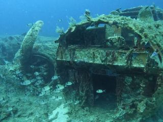 Reisebericht Korsika 2023 Calvi