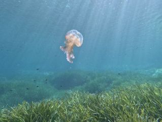 Reisebericht Sardinien 2023
