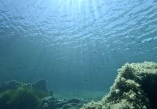 Reisebericht Sardinien 2023