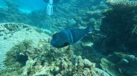 Reisebericht West-Australien 2024