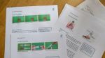 Erstes Freilufttraining im Blumengarten am 02.04.2025