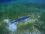 Antauchen Hunsfels am 06.06.2025