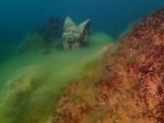 SK Süßwasserbiologie 2025