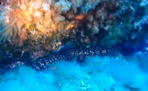 Sardinien 2025