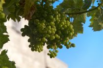 Sardinien 2025