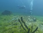 Antauchen Hunsfels 29.05.2026